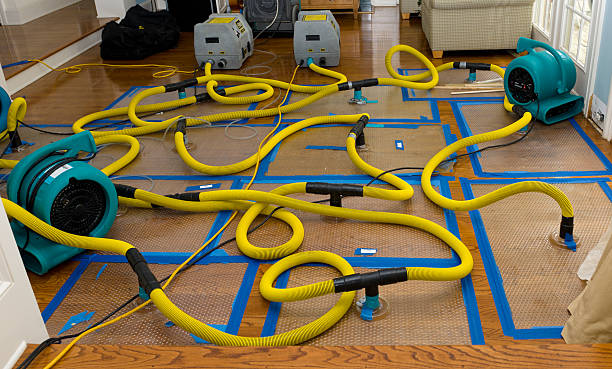 Professional Basement Flood Cleanup technician working in Irwin, PA